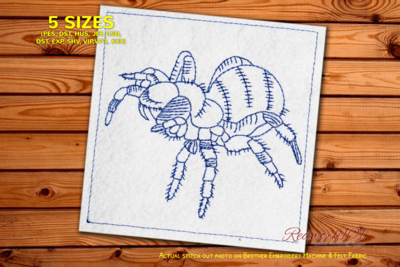 Evaluating the Creepy Mygalomorphae Spider Redwork Design